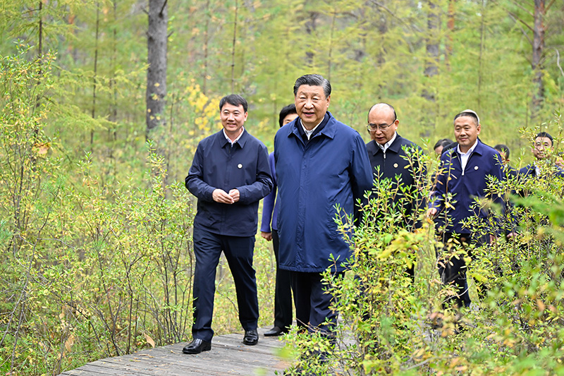 9月6日至8日，，，，中共中央总书记、国家主席、中央军委主席习近平在黑龙江考察。。。。。。这是6日下昼，，，，习近平在大兴安岭地区漠河市漠河林场自然林区考察